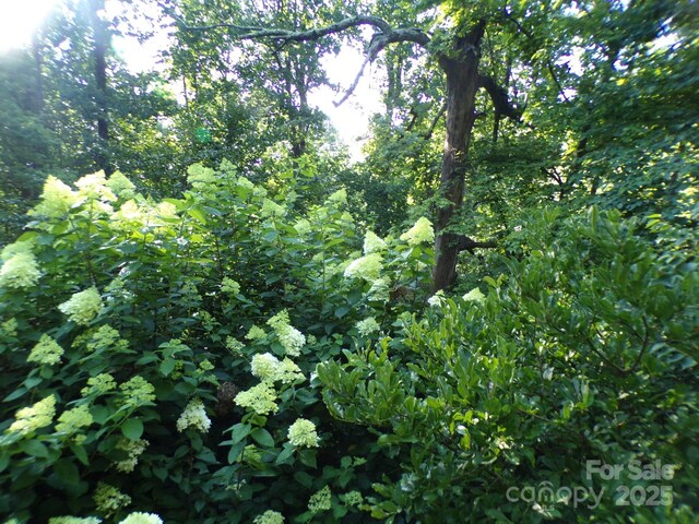 140 Beechwood Cir, Hendersonville, NC 28739 - view of nature