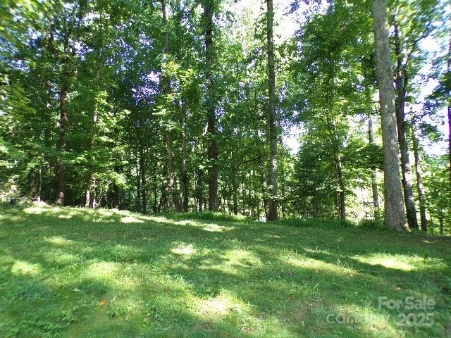 140 Beechwood Cir, Hendersonville, NC 28739 - view of grassy yard featuring a wooded view