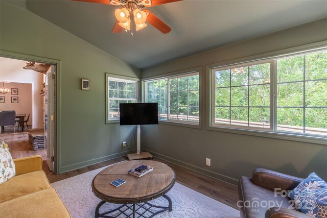 533 Safari Dr, Sylva, NC 28779 - photo 27