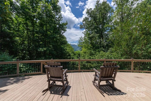533 Safari Dr, Sylva, NC 28779 - photo 37