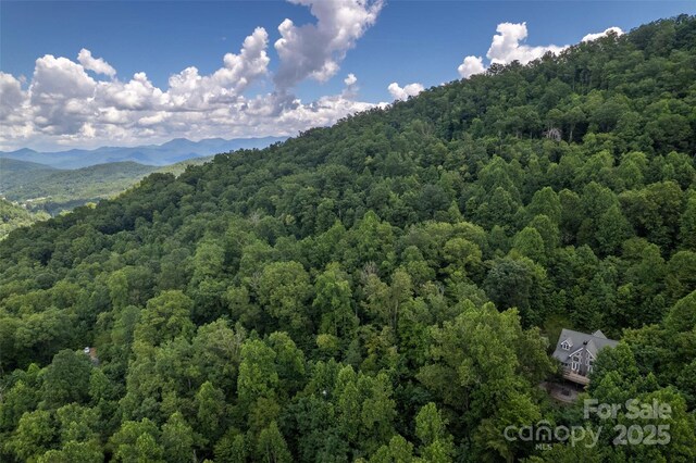533 Safari Dr, Sylva, NC 28779 - photo 40