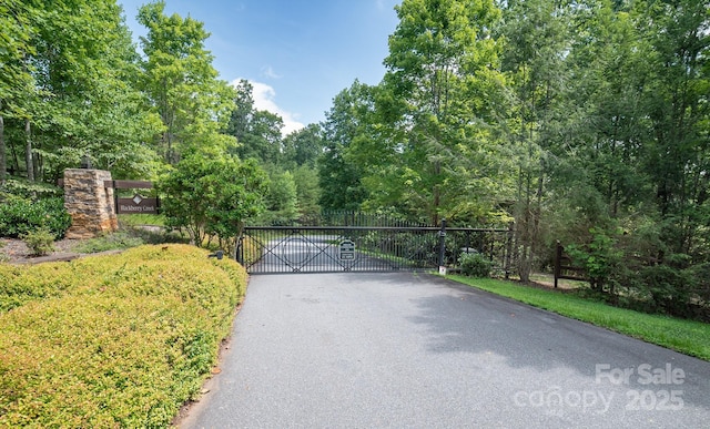 LOT111 Trellis Dr, Nebo, NC 28761 - photo 3