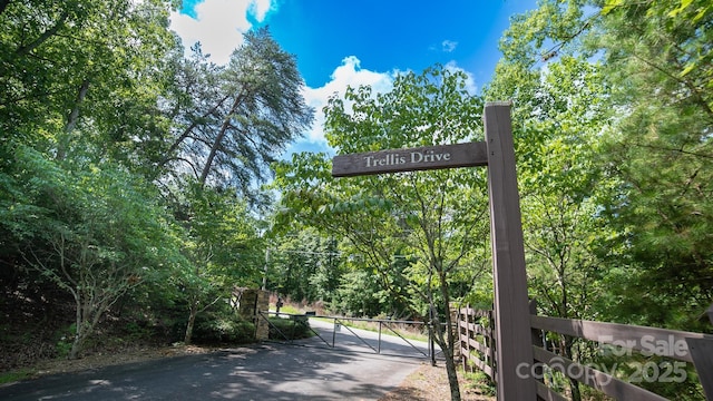 LOT111 Trellis Dr, Nebo, NC 28761 - photo 4