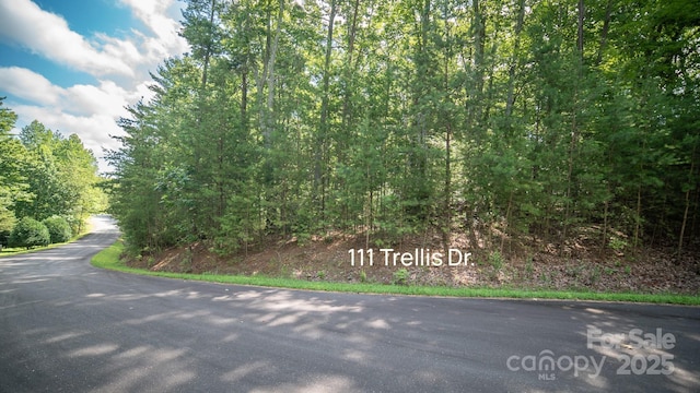 LOT111 Trellis Dr, Nebo, NC 28761 - photo 5