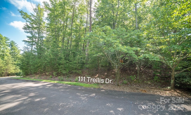 LOT111 Trellis Dr, Nebo, NC 28761 - photo 6