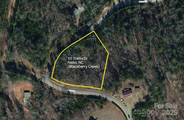 LOT111 Trellis Dr, Nebo, NC 28761 - photo 7