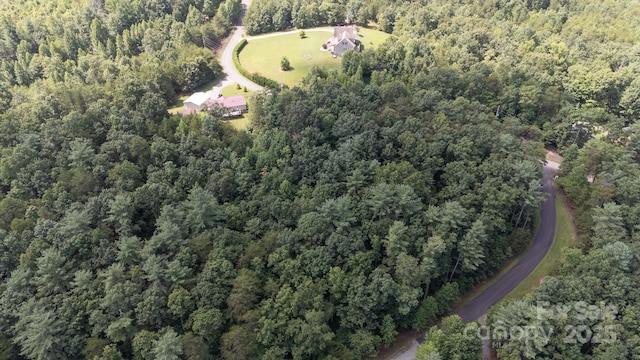 LOT111 Trellis Dr, Nebo, NC 28761 - photo 9