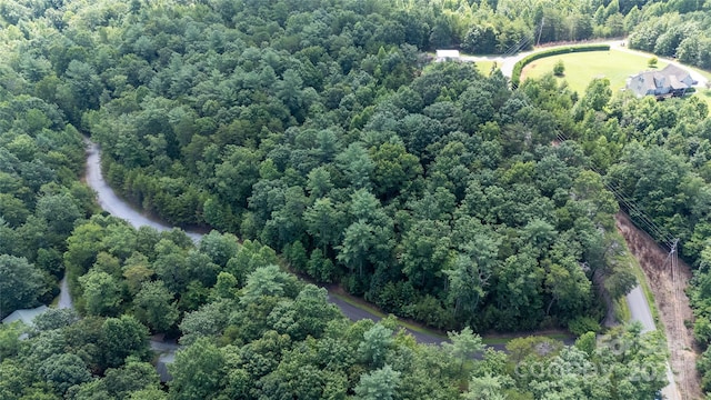LOT111 Trellis Dr, Nebo, NC 28761 - photo 11