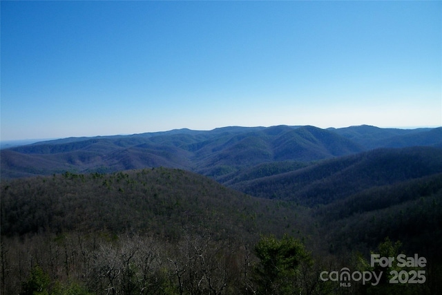 LOT111 Trellis Dr, Nebo, NC 28761 - photo 12