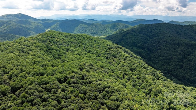 1710 Roaring Fork Rd, Mars Hill, NC 28754