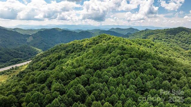 1710 Roaring Fork Rd, Mars Hill, NC 28754