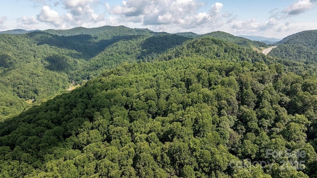 1710 Roaring Fork Rd, Mars Hill, NC 28754