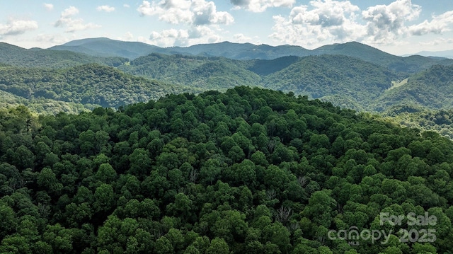 1710 Roaring Fork Rd, Mars Hill, NC 28754