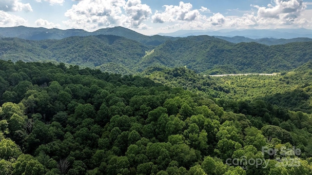 1710 Roaring Fork Rd, Mars Hill, NC 28754