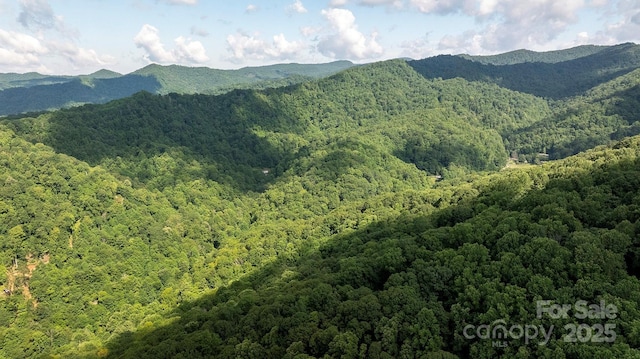 1710 Roaring Fork Rd, Mars Hill, NC 28754