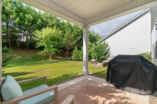 1016 Burton Point Ct, Waxhaw, NC 28173 - photo 40