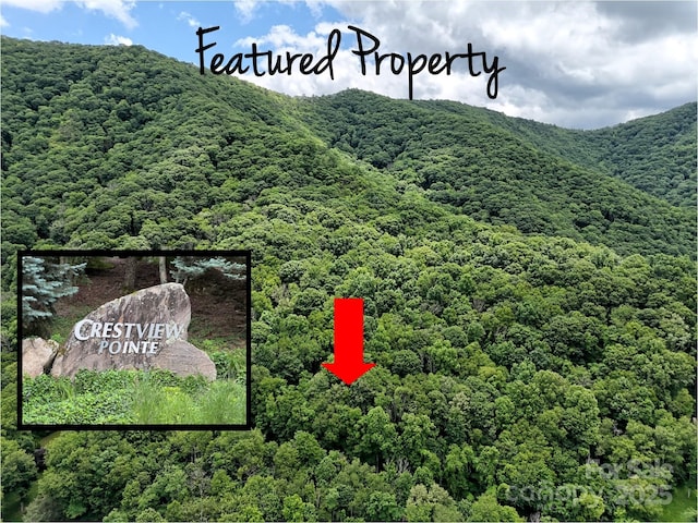 LOT18 Lincoln Way, Waynesville, NC 28786 - photo 1