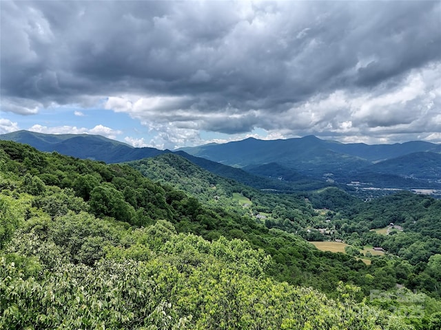 LOT18 Lincoln Way, Waynesville, NC 28786 - photo 2