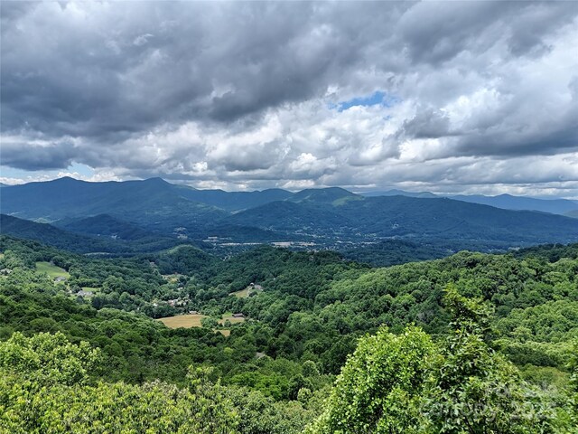 LOT18 Lincoln Way, Waynesville, NC 28786 - photo 3