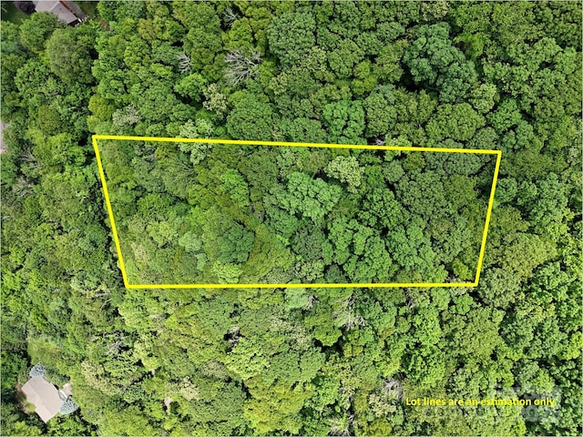 LOT18 Lincoln Way, Waynesville, NC 28786 - photo 10