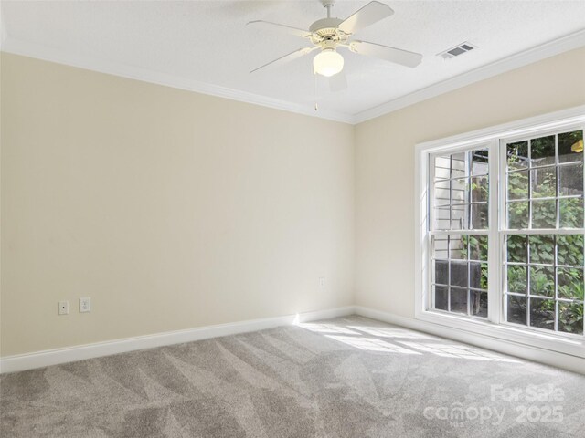 888 W Pointe Dr, Asheville, NC 28806 - photo 19