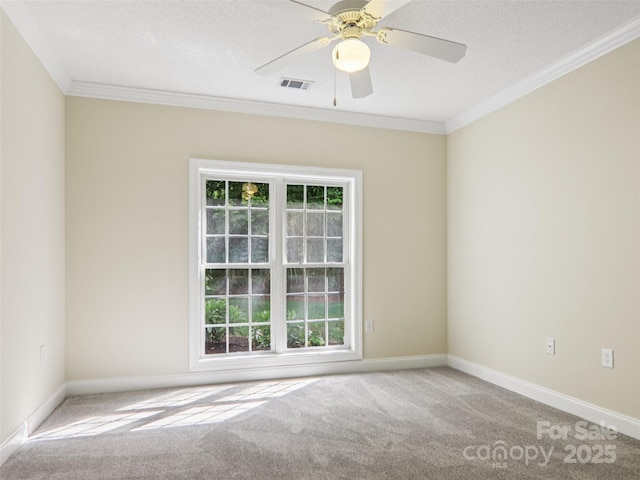 888 W Pointe Dr, Asheville, NC 28806 - photo 20