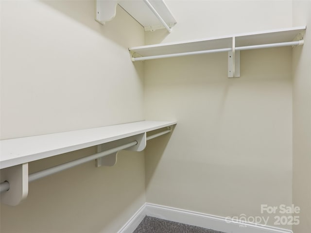 888 W Pointe Dr, Asheville, NC 28806 - photo 30