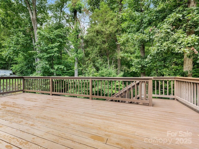 9324 Rainbow Forest Dr, Charlotte, NC 28277 - photo 24