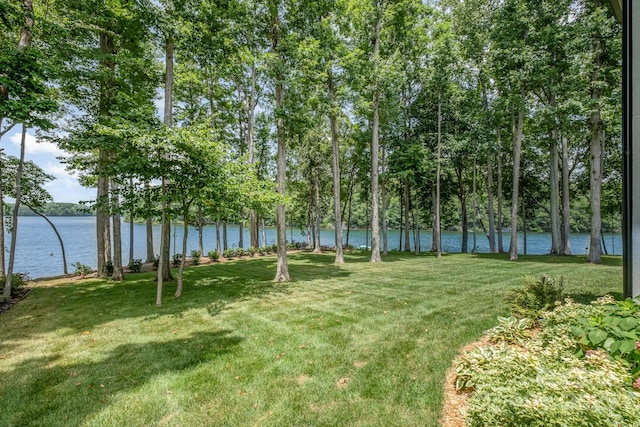 708 Amalfi Dr, Davidson, NC 28036 - photo 39