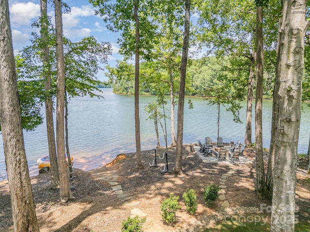 708 Amalfi Dr, Davidson, NC 28036 - photo 40