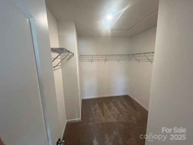 1005 Lorrie Ln Unit 84, Albemarle, NC 28001 - spacious closet with carpet flooring and attic access