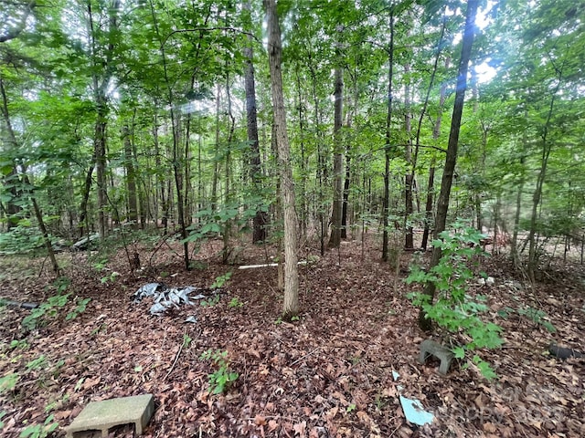2865 Carmel Ct, York, SC 29745 - photo 9