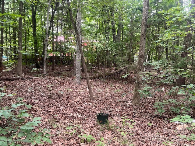 2865 Carmel Ct, York, SC 29745 - photo 10