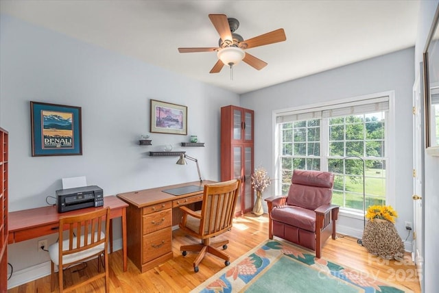 116 Dolata Ln, Waynesville, NC 28786 - photo 26