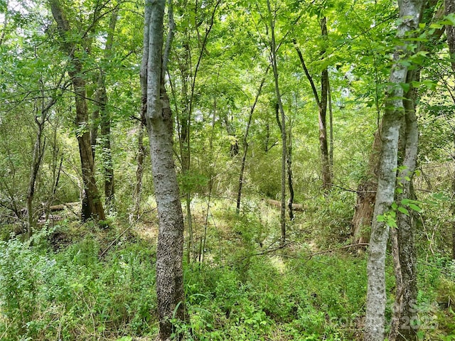 00 Providence Rd S, Waxhaw, NC 28173