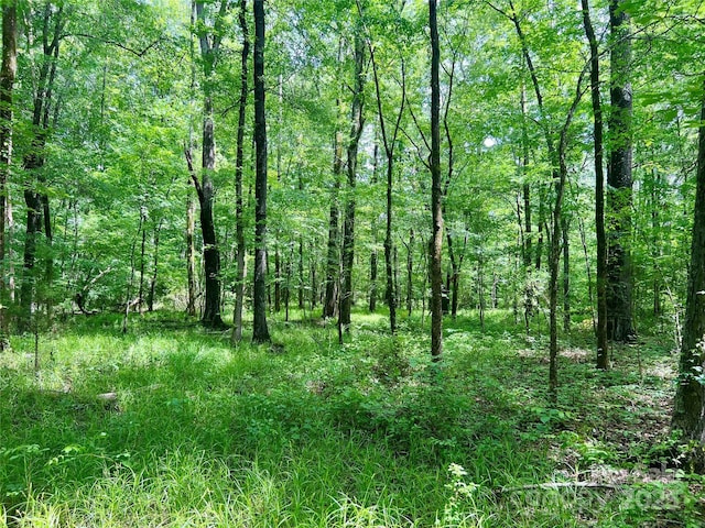 00 Providence Rd S, Waxhaw, NC 28173