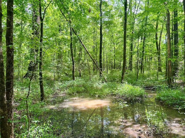 00 Providence Rd S, Waxhaw, NC 28173