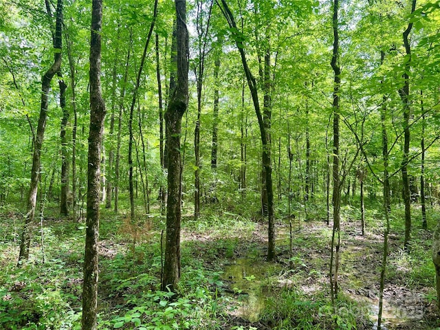 00 Providence Rd S, Waxhaw, NC 28173