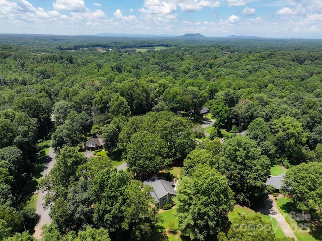 1496 Hardwood Cir, Newton, NC 28658 - photo 47