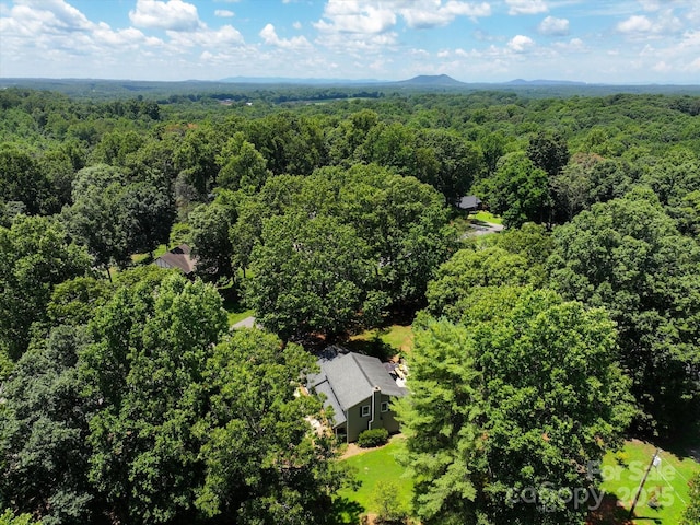 1496 Hardwood Cir, Newton, NC 28658 - photo 48