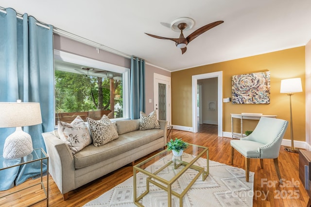 3009 Shenandoah Ave, Charlotte, NC 28205 - photo 5