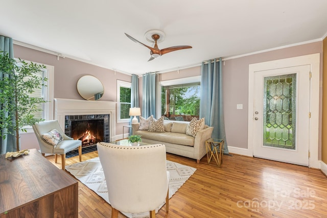 3009 Shenandoah Ave, Charlotte, NC 28205 - photo 6