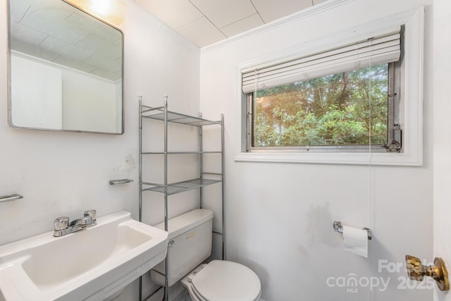 3009 Shenandoah Ave, Charlotte, NC 28205 - photo 20