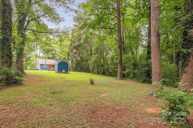 3009 Shenandoah Ave, Charlotte, NC 28205 - photo 26