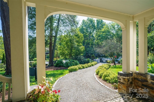 288 Montford Ave, Asheville, NC 28801 - photo 25