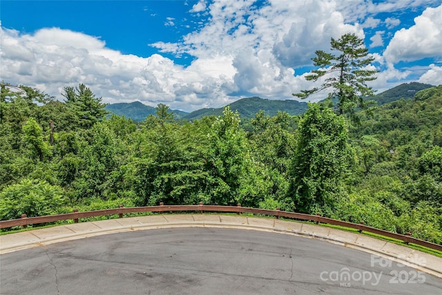 29 Grovepoint Way, Asheville, NC 28804 - photo 2
