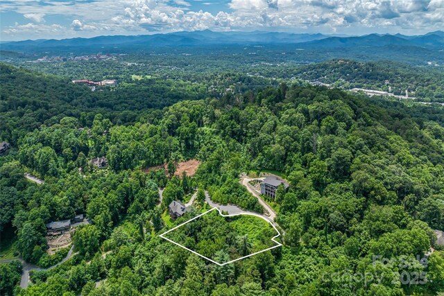 29 Grovepoint Way, Asheville, NC 28804 - photo 3