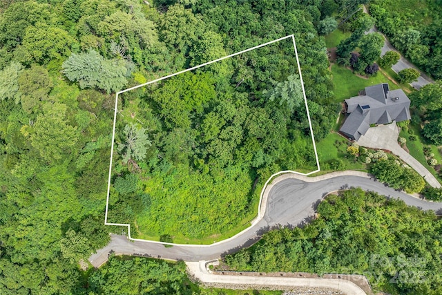 29 Grovepoint Way, Asheville, NC 28804 - photo 4