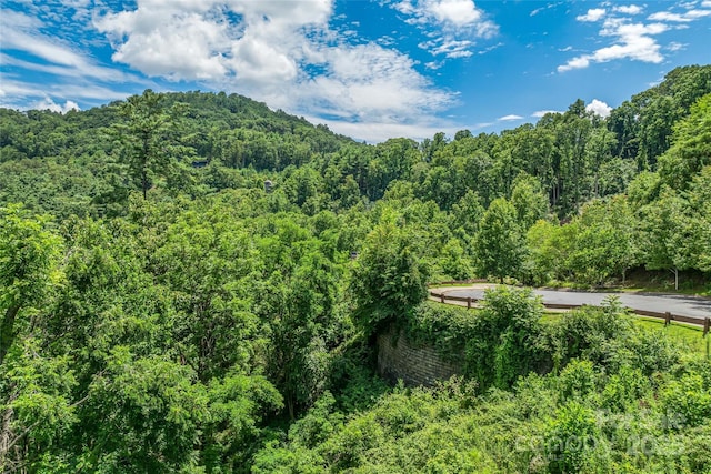 29 Grovepoint Way, Asheville, NC 28804 - photo 5