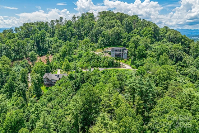 29 Grovepoint Way, Asheville, NC 28804 - photo 6